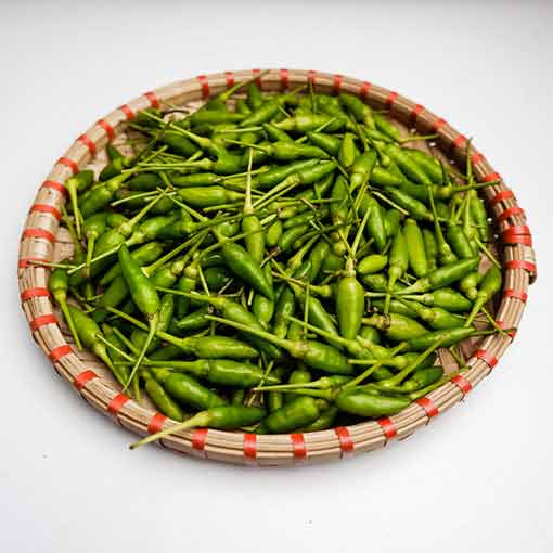 Muối ớt xiêm xanh rừng